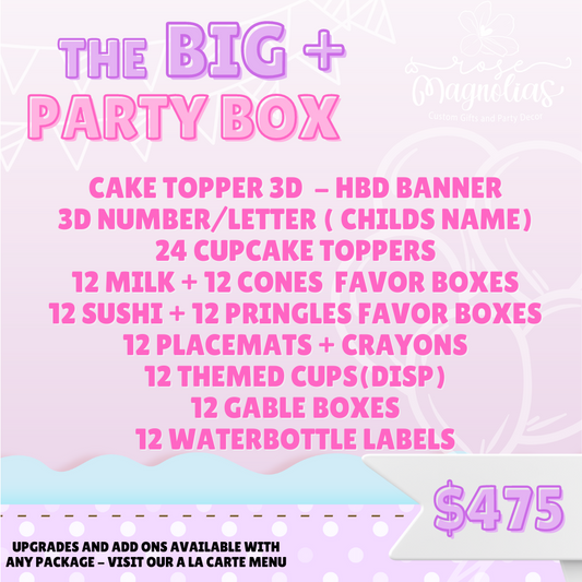 The Big +  Party Box