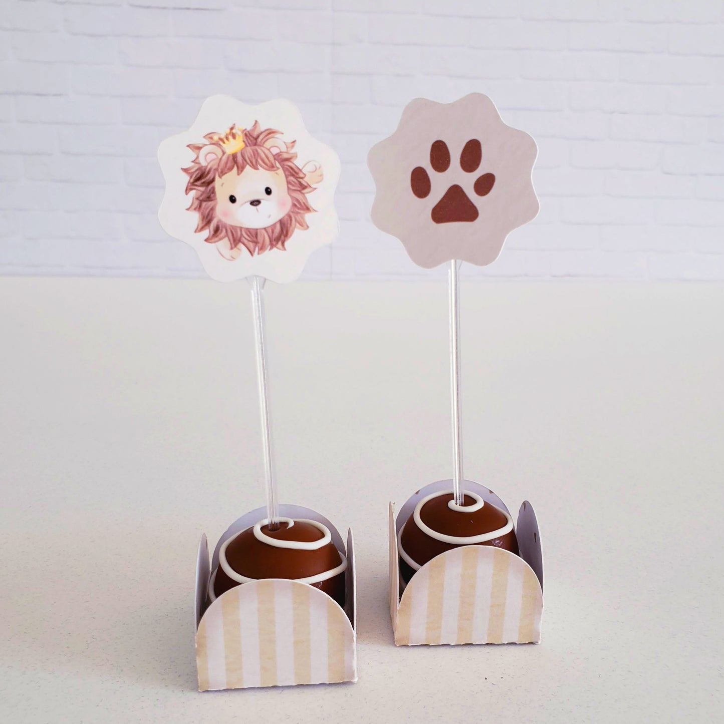 Lion Themed Favor Boxes